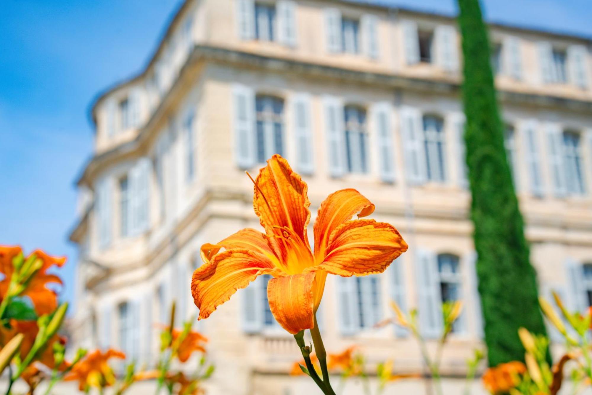 Chateau De Mazan, BW Premier Collection By Best Western Exteriör bild